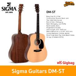 Sigma Guitars DM-ST Acoustic Guitar กีต้ารโปร่ง กีต้าร์อคูสติก